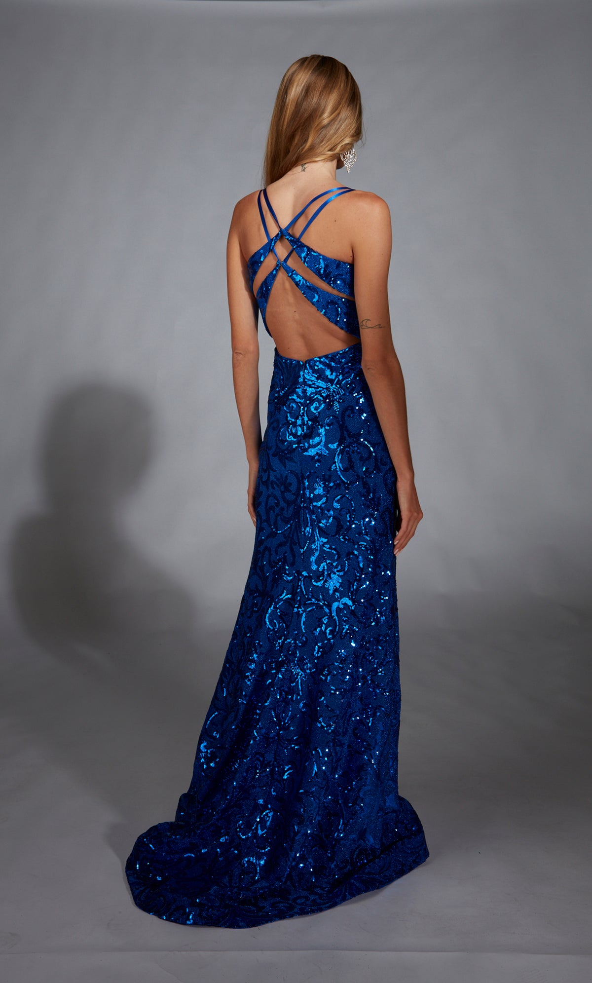 Alyce Paris 1871 The Secret Dress - Long Scoop Schimmery/Sparkly Fit n Flare Dress