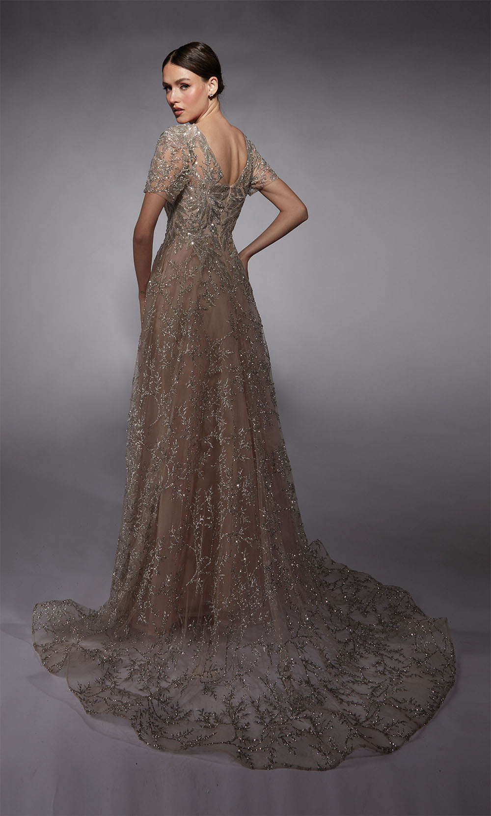 Alyce Paris 27726 Illusion d'occasion spéciale modeste une robe de ligne