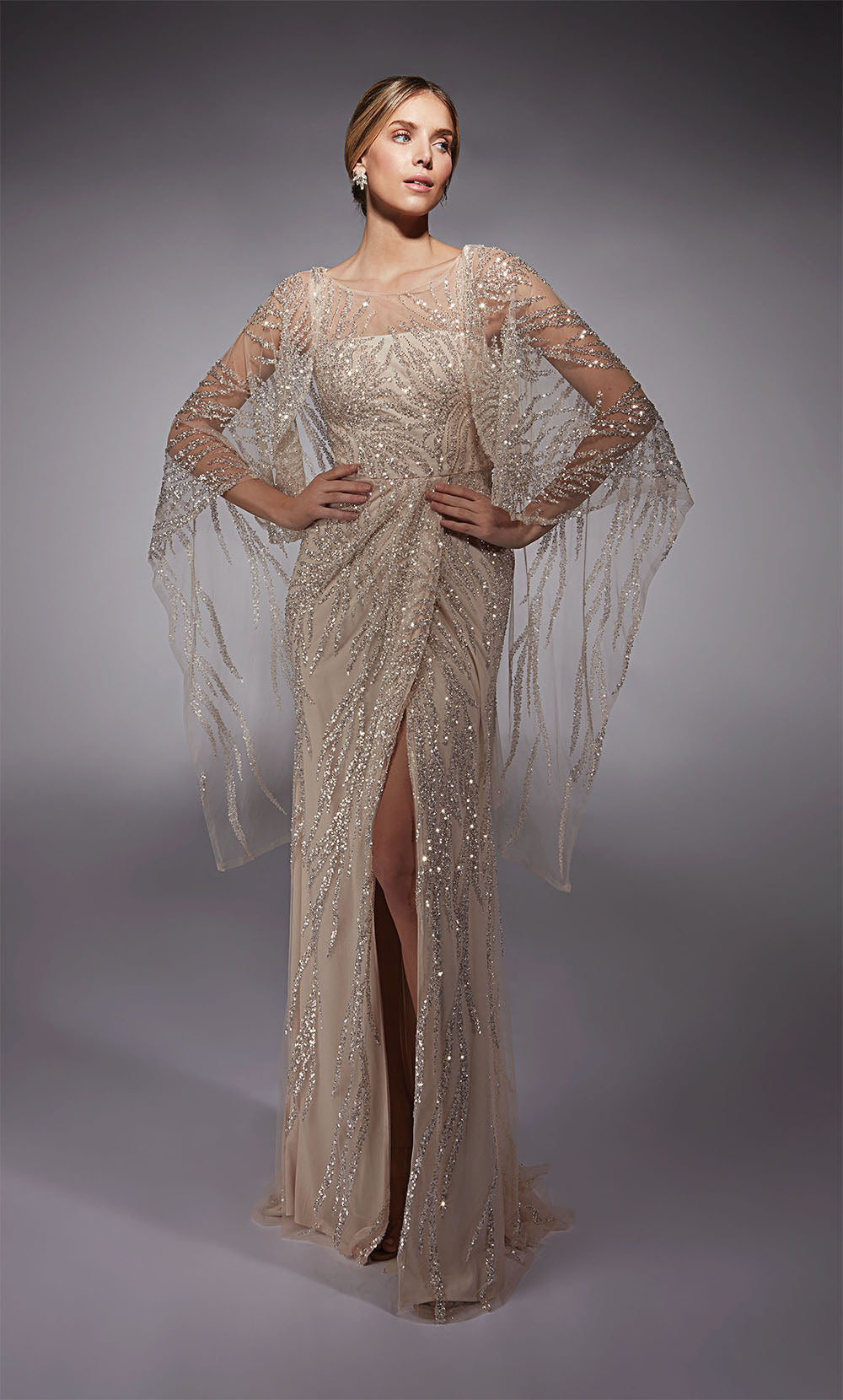 ALYCE Paris 27754 Ocasião Especial Illusion Decote Illusion Vestido Reto